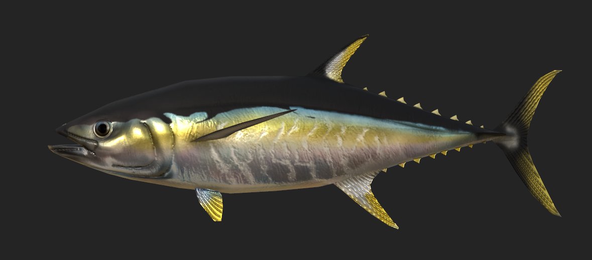 AquaticaStudios's tweet image. Here are some marine creatures made by @Sharking_Around  that are featured in our upcoming experience, Aquatica Observatory!

Giant Trevally, Yellowfin Tuna, Whale Shark, and Humpback Whale

#Roblox #RobloxDevelopment #Aquarium #Ocean #OceanConservation