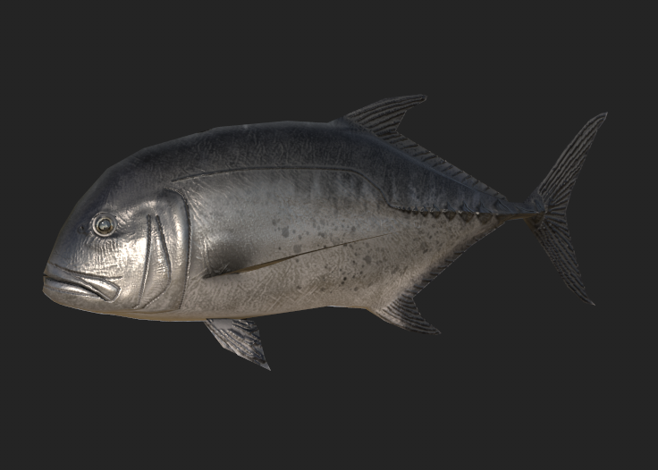 AquaticaStudios's tweet image. Here are some marine creatures made by @Sharking_Around  that are featured in our upcoming experience, Aquatica Observatory!

Giant Trevally, Yellowfin Tuna, Whale Shark, and Humpback Whale

#Roblox #RobloxDevelopment #Aquarium #Ocean #OceanConservation
