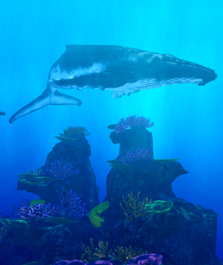 AquaticaStudios's tweet image. Here are some marine creatures made by @Sharking_Around  that are featured in our upcoming experience, Aquatica Observatory!

Giant Trevally, Yellowfin Tuna, Whale Shark, and Humpback Whale

#Roblox #RobloxDevelopment #Aquarium #Ocean #OceanConservation