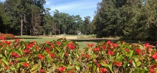 ucfoodietv's tweet photo. Tuesday bingeWatch: We hit Murrells Inlet, SC for golf, food, and surfing? https://t.co/OiPBnZ9acG #TueadaybingeWatch #Caledonia #TrueBlue #MurrellsInlet #Food #Travel #Booze #Foodie #UndercoverJetsetter #JohnDaly #SusanAnzalone #offbeatenpath #Vacation #jetsetathome https://t.co/Y2i4kXorqt