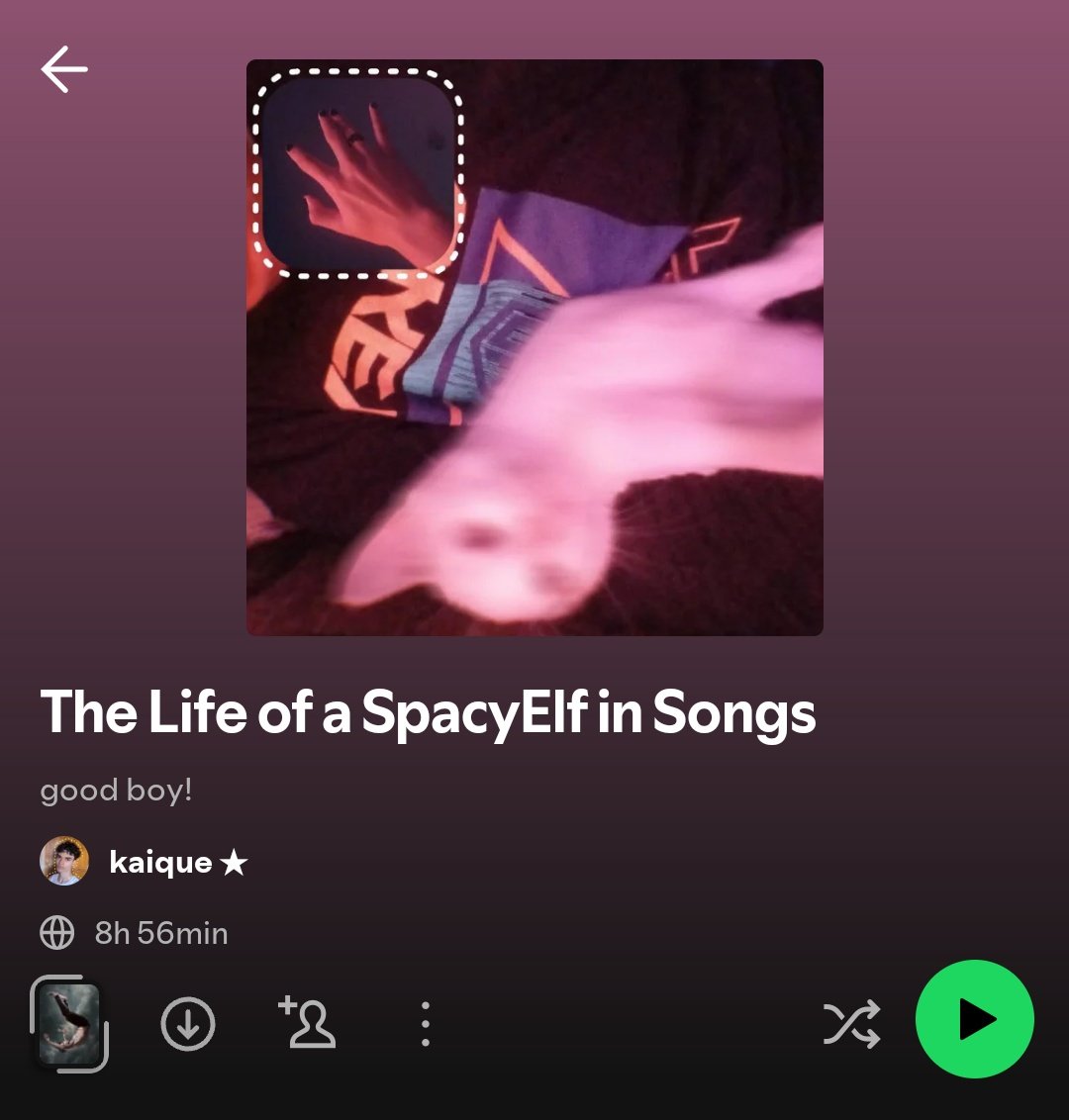 SpacyElf ★ tweet media