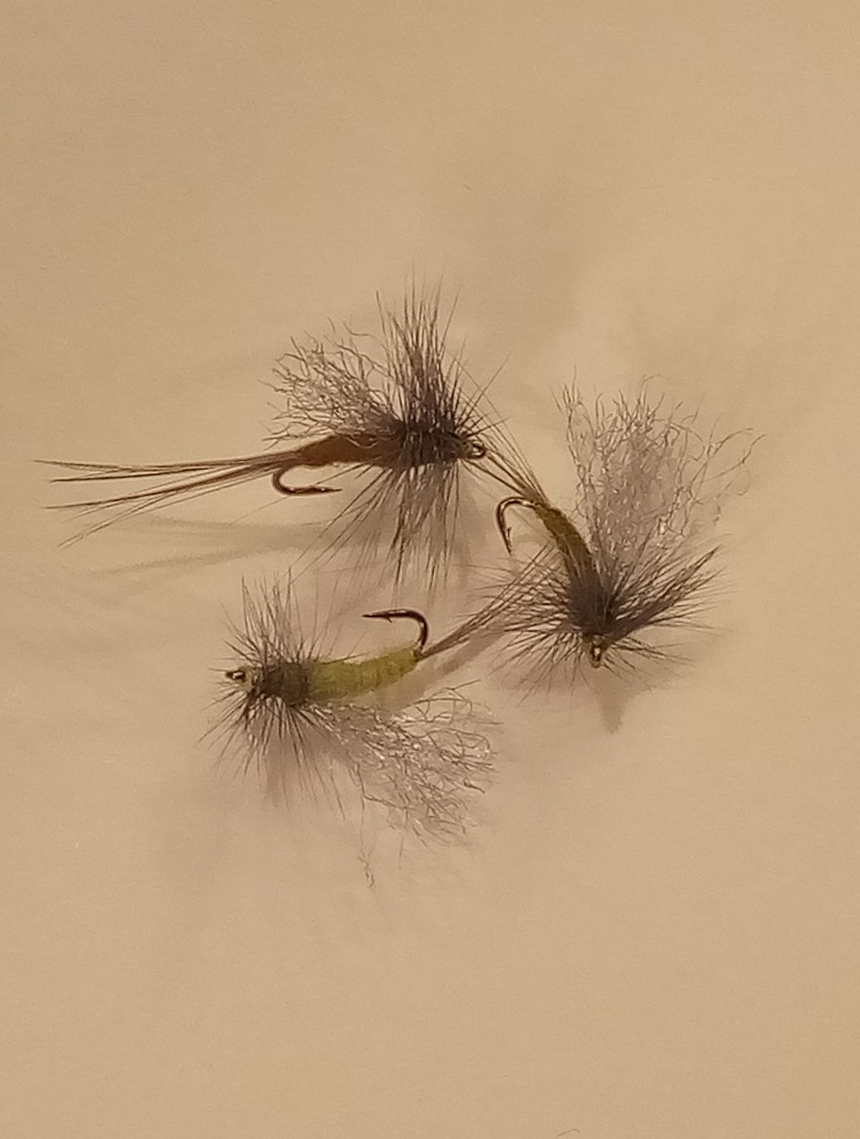 Mike Sales tweet media