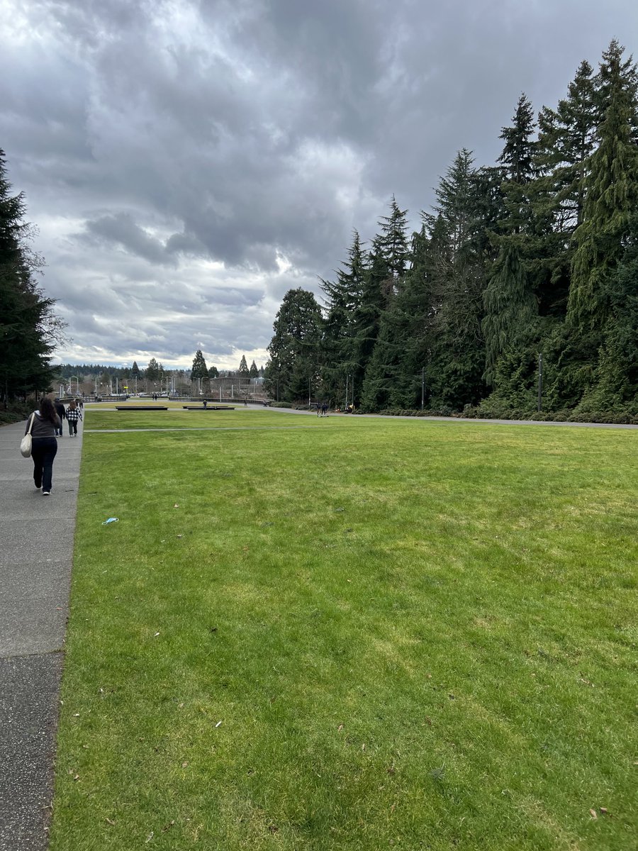 No Mount Rainer from University of Washington campus today