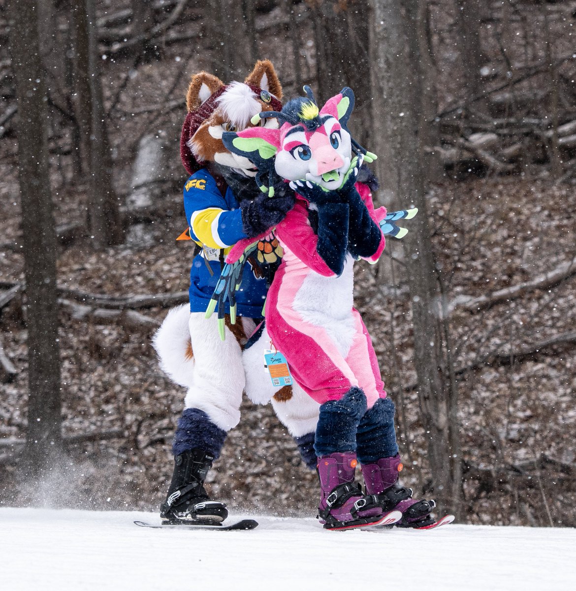 FlowTheWolf_'s tweet photo. ONE MORE DAY BEFORE @FurSquared! My slots are still ALL FREE and open, and if you order it any time from now to the end of the day Wednesday, it will be the normal price of $150! 👀

Thats $10 a photo, fully edited! 

See you all Thursday x3 

#furryfandom #photography #furry https://t.co/hUeILJaegG