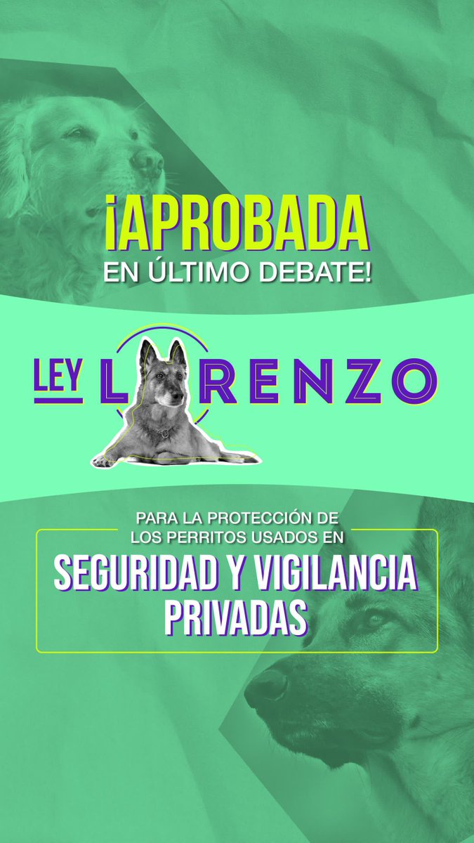 ¡Logramos la #LeyLorenzo para la protección de los perritos en seguridad y vigilancia! ¡La defensa de los animales es progresiva: estamos cambiando la sociedad! Un paso a la vez, pero firme.

¡Gracias <a href="/davalho/">Daniel Carvalho</a> por tu hermandad y gran trabajo como ponente. Gracias <a href="/JaimeRaulSt/">Jaime Raúl Salamanca Torres</a> por