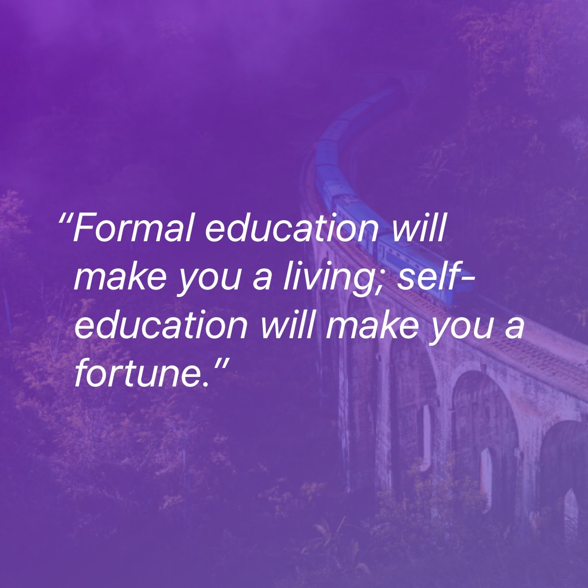 rogelio__david's tweet image. 