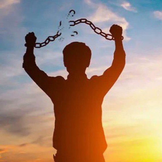 eliVAL🇺🇸 tweet media