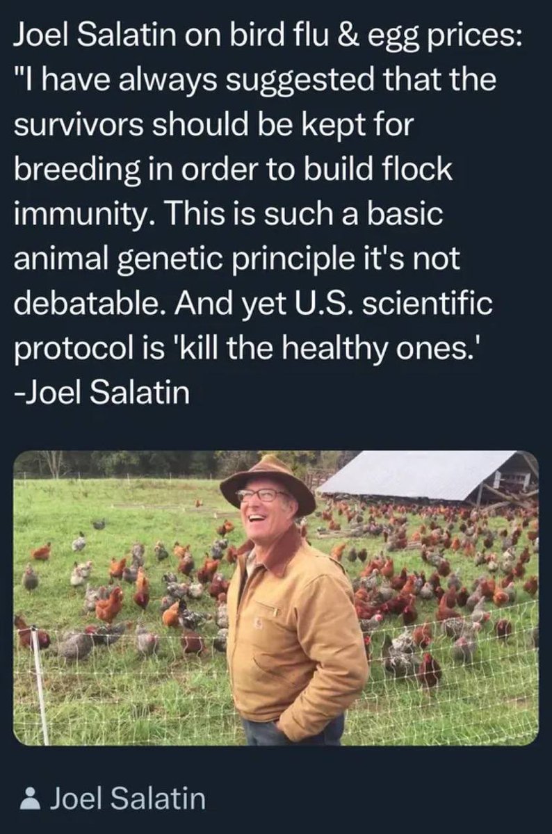 Wise words from world renowned farmer and homesteader Joel Salatin regarding the bird flu…