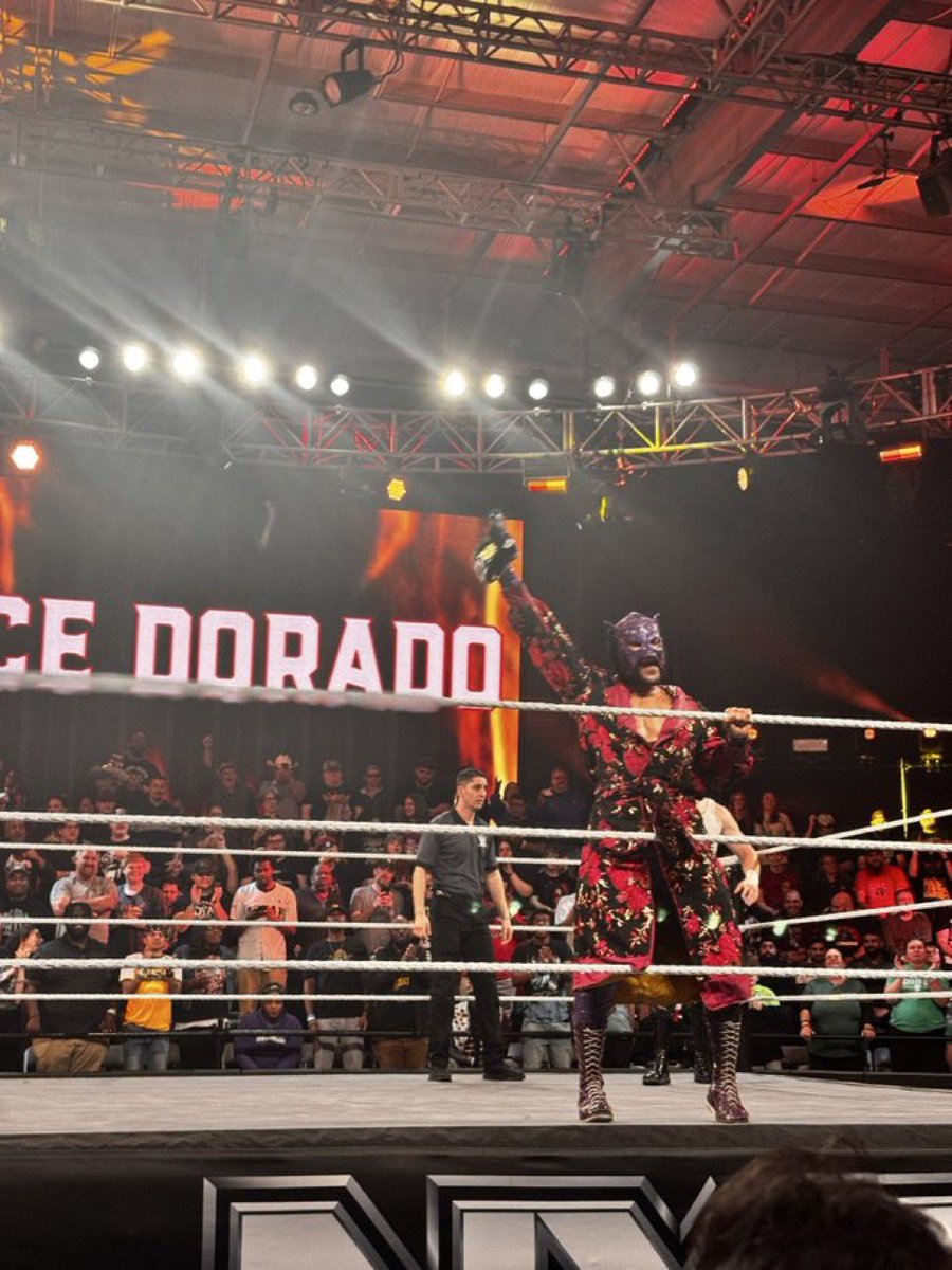 “Lucha Lit” Lince Dorado tweet media
