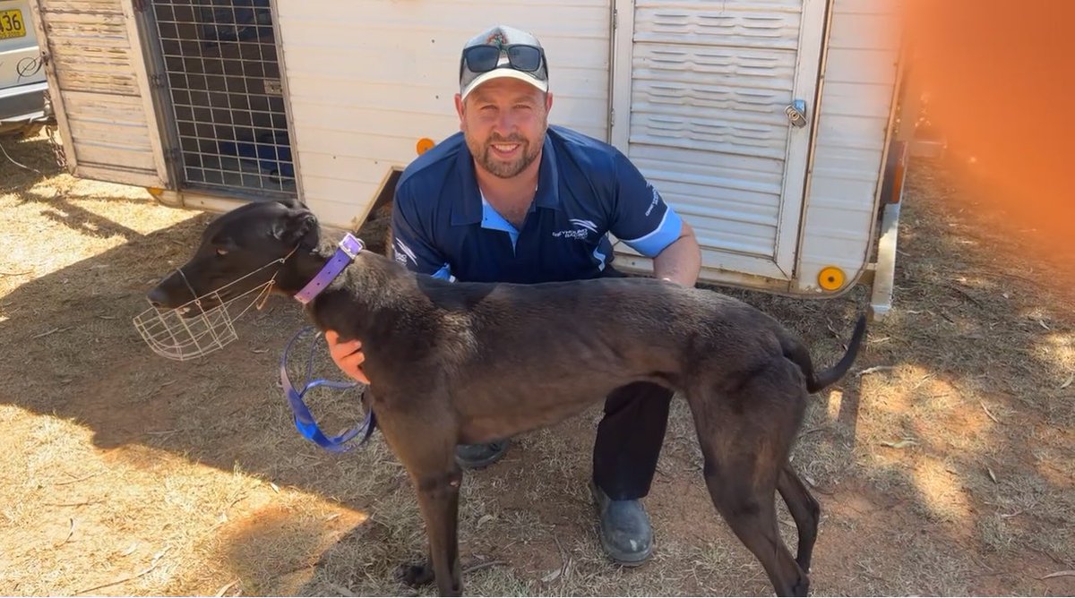 MickDehlsen05's tweet photo. πΈ Race Day πΈ
The boss is off to his home track today with five runners!!πΆπ
Race 1 Box 8 #FlamingTikki π₯
Race 4 Box 2 #SuperSpook π»
Race 4 Box 6 #TikkiToes πΎ
Race 6 Box 3 #ContikiTime πΉ
Race 7 Box 3 #SammyTheBull π
Good luck to connections!!π
@Thedogs_com_au https://t.co/2Q1jqy0YbL