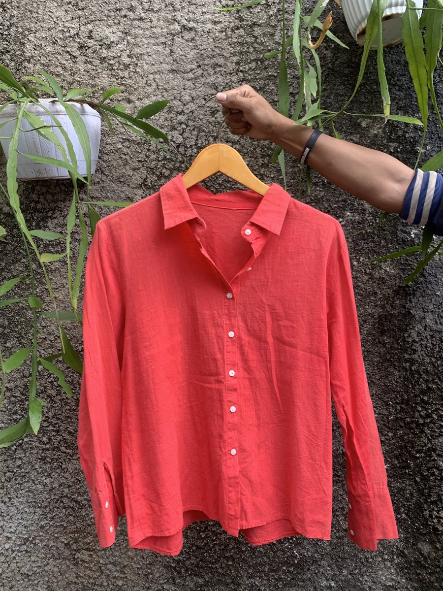 moonlight.t tweet media