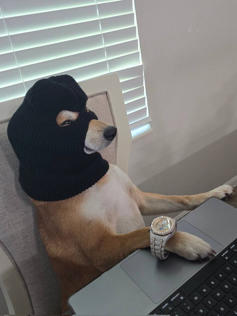Ski Mask Dog tweet media
