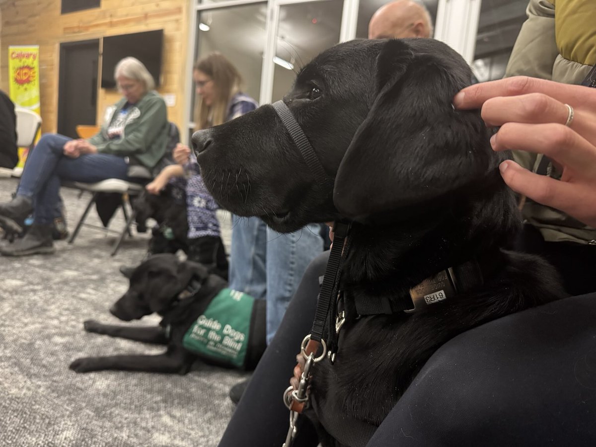 Nathan Sobo (@nathansobo) on Twitter photo My friend Morello My friend Morello