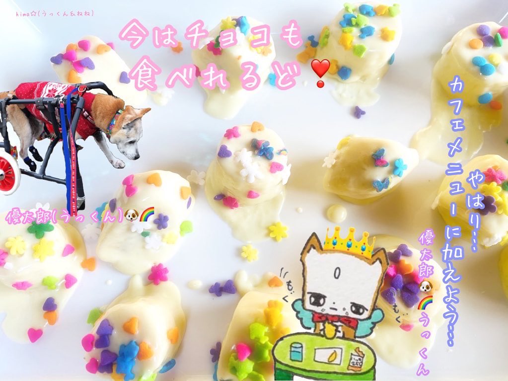 NeneFluorite's tweet photo. #petloss  #ペットロス  #秘密結社老犬倶楽部天国支部  #愛犬  #dog  #twinray  #ツインレイ  #スピリチュアル  #spiritual  #老犬介護 #일러스트 #插图
🩷Instagram更新しました🩷
🩷Instagram updated 🩷
⬇️
https://t.co/8w2ikcsvrT
wari.hima.54◀️ Search and you'll find it💞🎀🍒
Thank you🌹✨ https://t.co/ZTt9Fc7kKq