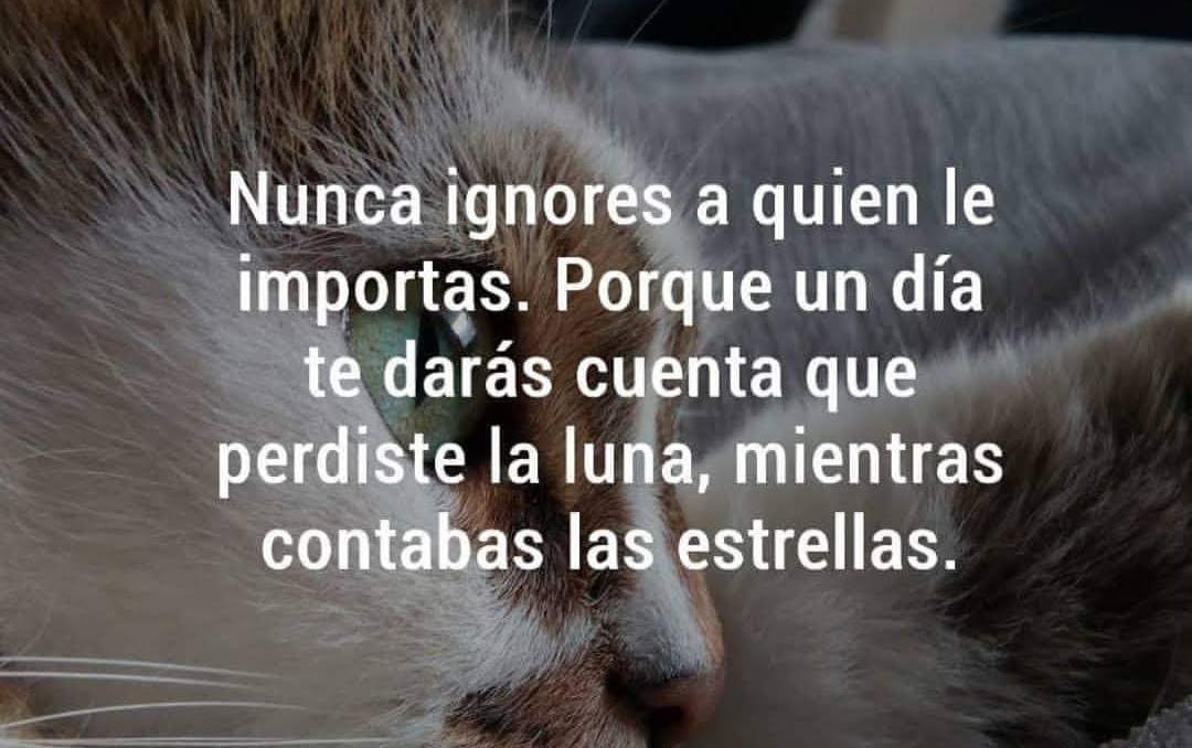 _veas's tweet photo. @paulinarojasdr https://t.co/Fobwu2CChm