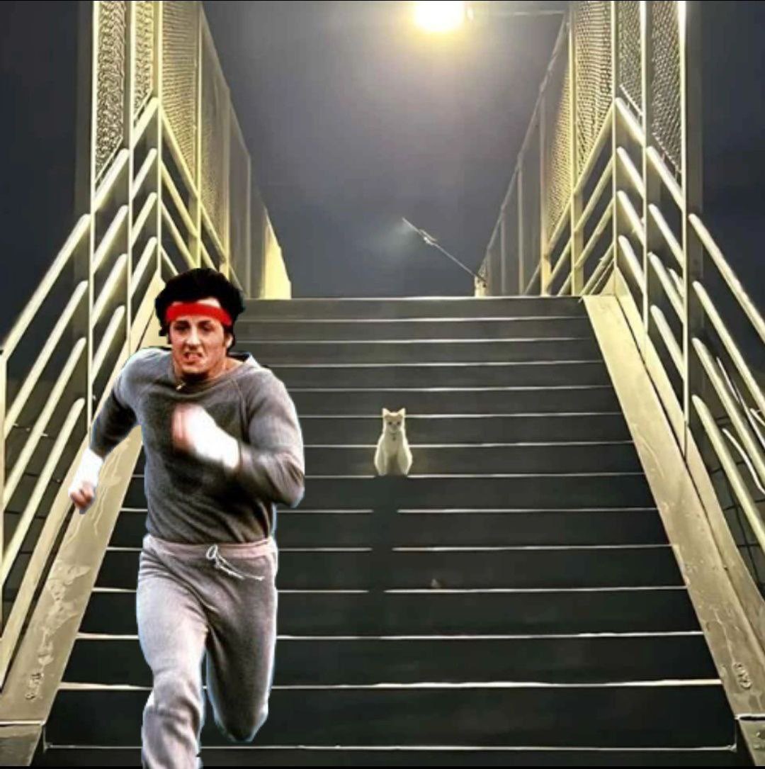 <a href="/iampapito_eth/">Amp 🇵🇷</a> @CryptoVoltGirl7 nahh Dubai is ours 

$ODIN is the ticker 

Will flip Michi 

Best memes in the game rn