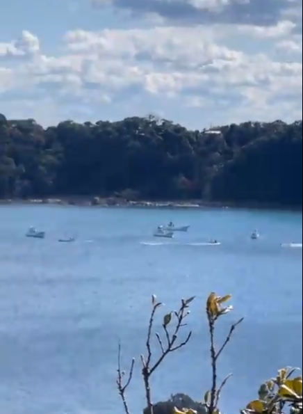 lyingBOTShm0c's tweet photo. #TaijiJAPAN🔴: The #DolphinHunters have been at it for well over 2 hours now, persevering in this chase of an, as yet unidentified species. These Dolphins have been successfully fighting them for all this time but, alas, their luck may soon run out.....🐬🐳https://t.co/k5O1tBAjX2 https://t.co/WlEjaaPirT