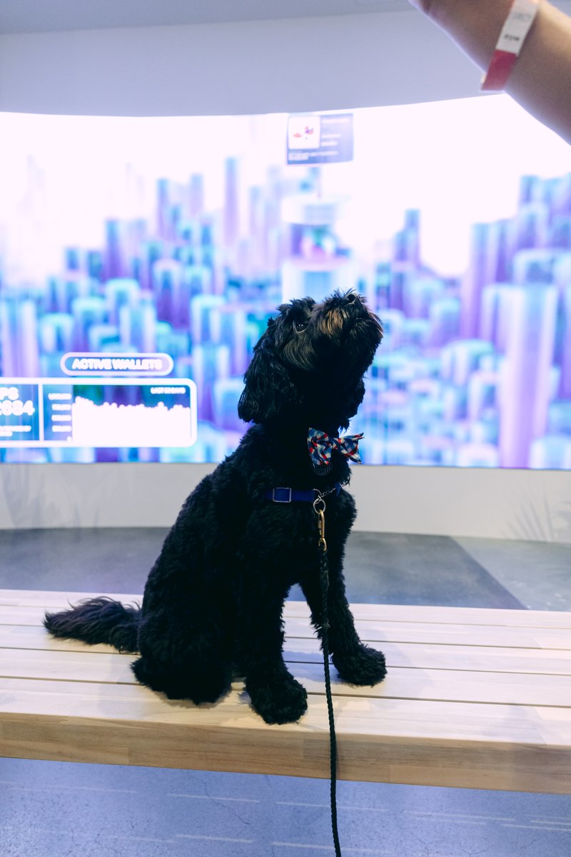 The dog's name is $STORE