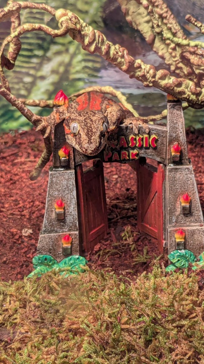 Welcome to…🦎🦖✨

This little guy has officially taken over the park! With that prehistoric stare and perfect camouflage, he’s ready to rule his tiny kingdom. Who needs raptors when you’ve got this little apex predator guarding the gates?