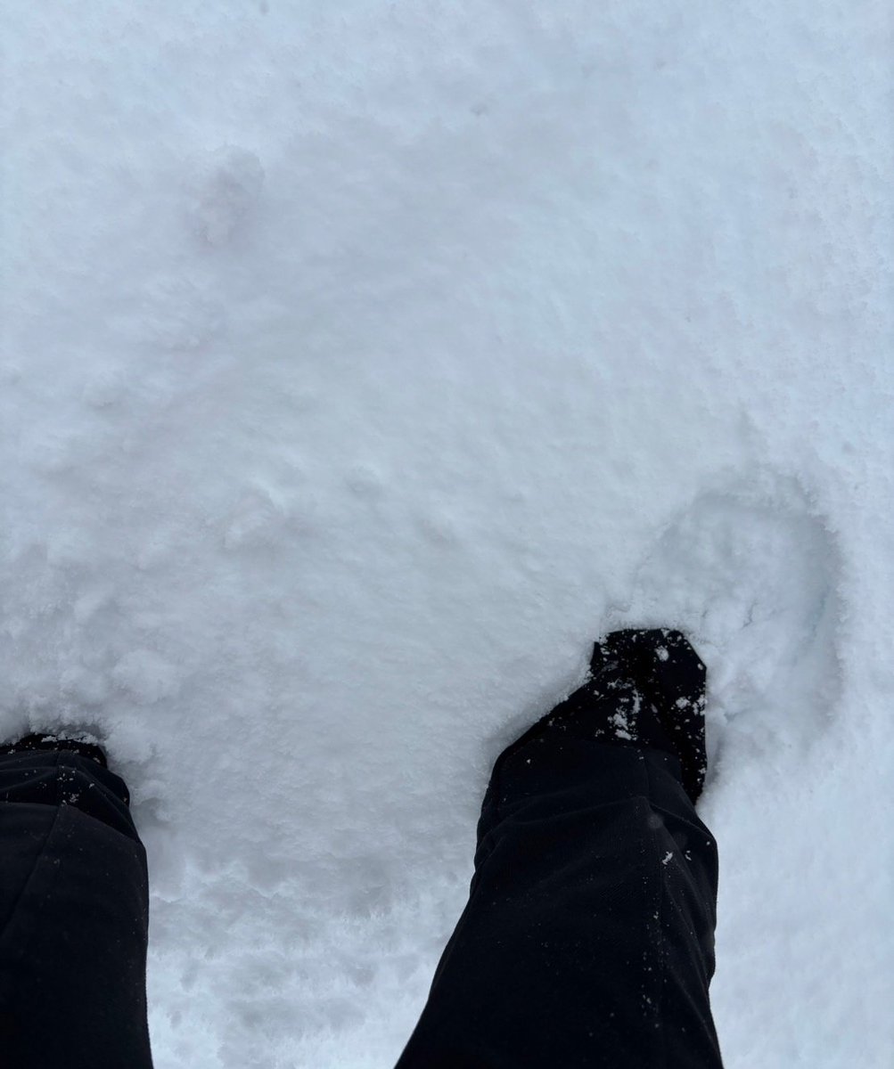 こんにちは。✨今日は仕事で
宮崎県に急遽です。✨
東北地方が雪が凄くて親戚からSOSが来ました。雪もういらないと。🥲