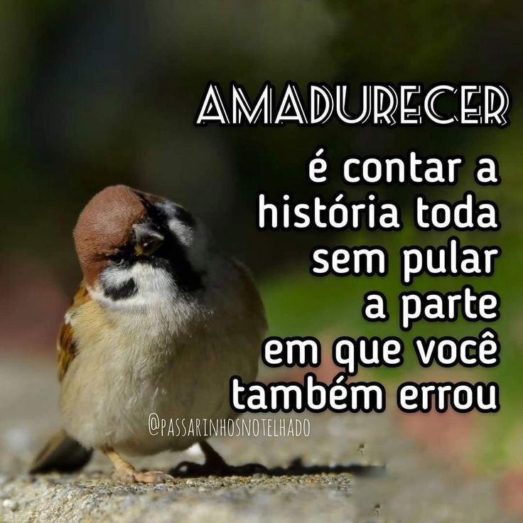 Raulzito Eterno π§π·βοΈππΈπ―π² (@maluko_bleza) on Twitter photo ...bm nessas...!!!ππΌπ ...bm nessas...!!!ππΌπ