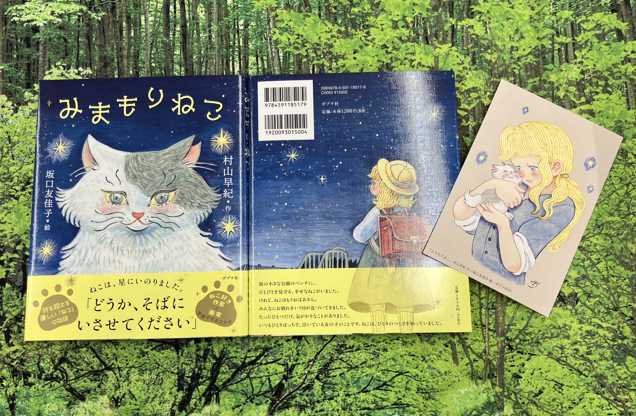 まさむねこ様用 まさむねこ様用 ねこ様用｜無添加