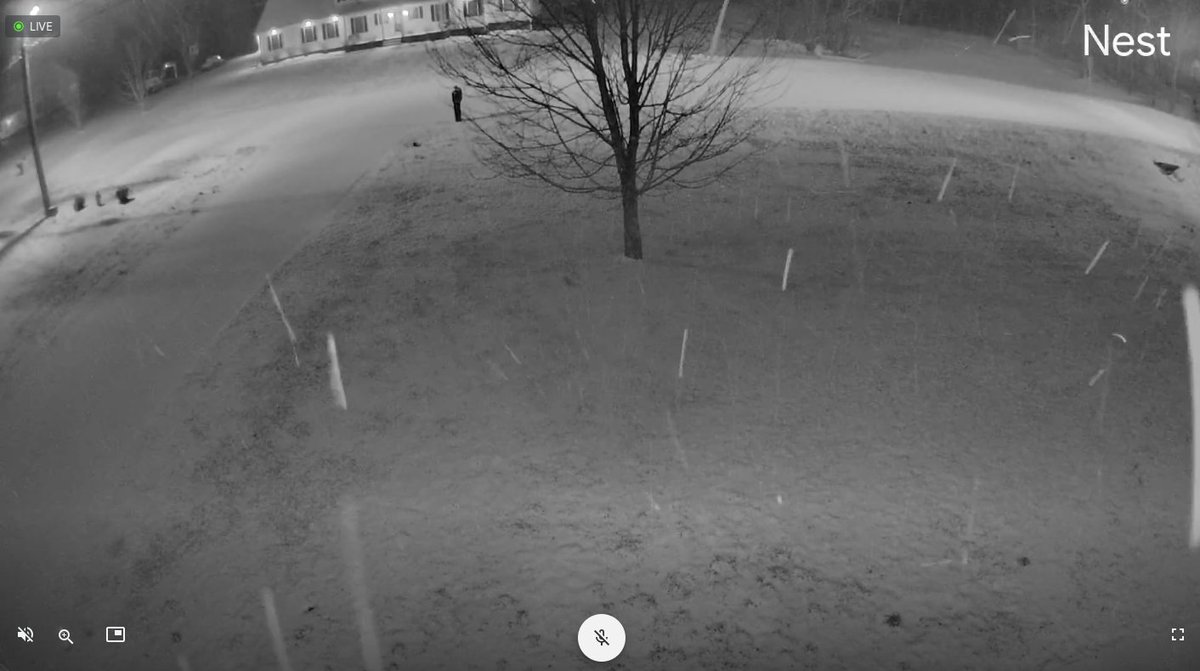 Johnathan Cline, NBCT (@johnathancline) on Twitter photo The snow is coming down in northern Warren County near Plum Springs! <a href="/Kentuckyweather/">Chris Bailey🌪️⚡️</a> <a href="/I65WxSils/">I-65 Weather (Kentucky)</a> <a href="/DavidWolter1/">David Wolter</a> <a href="/Kentucky_WX/">Kentucky Weather</a> <a href="/WeatherNowKY/">Weather Now-Kentucky</a> The snow is coming down in northern Warren County near Plum Springs! <a href="/Kentuckyweather/">Chris Bailey🌪️⚡️</a> <a href="/I65WxSils/">I-65 Weather (Kentucky)</a> <a href="/DavidWolter1/">David Wolter</a> <a href="/Kentucky_WX/">Kentucky Weather</a> <a href="/WeatherNowKY/">Weather Now-Kentucky</a>