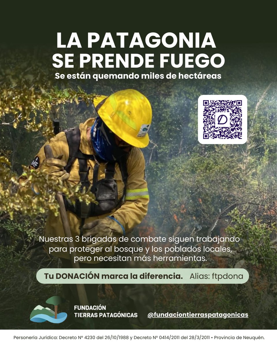 Colaborá acá 👉 donaronline.org/fundacion-tier…