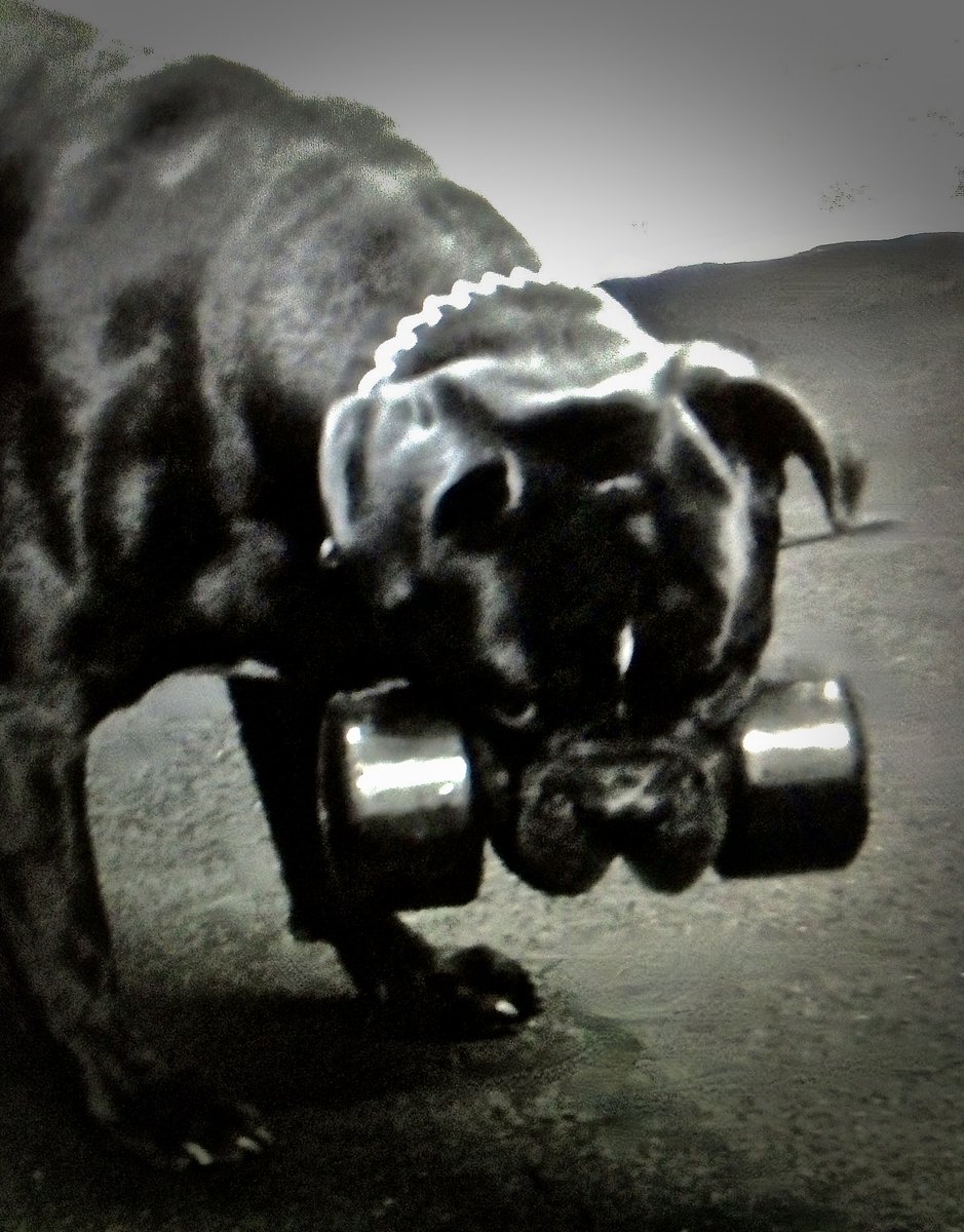 whaler_michael's tweet image. &quot;Boston&quot; - every  picture tells  a  story.