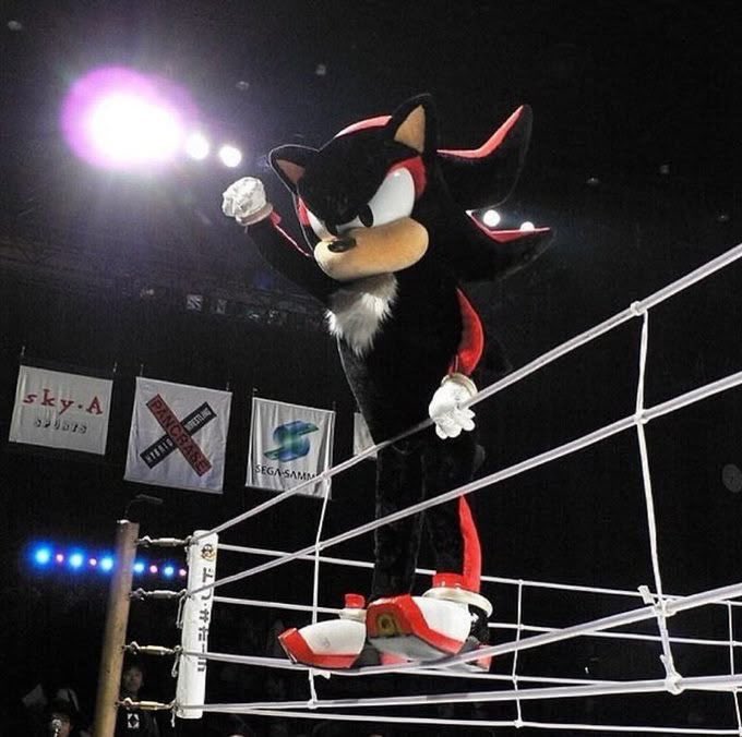 Daily Shadow (@247edgehog) on Twitter photo 