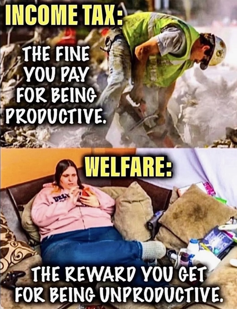 <a href="/DOGE/">Department of Government Efficiency</a> Ending this is how we save America 👇