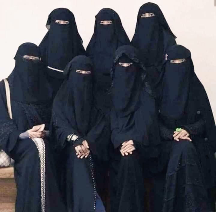 #Asslamu_alaikum______
बेटियों को तितली नही मधुमक्खी बनाओ...!
            पंख भी दो और डंक भी।🙏

  सिखाओ उनको सर कुचलने का हुनर क्योंकि
बसर करनी है उनको जिंदगी सांपों की बस्ती में।।