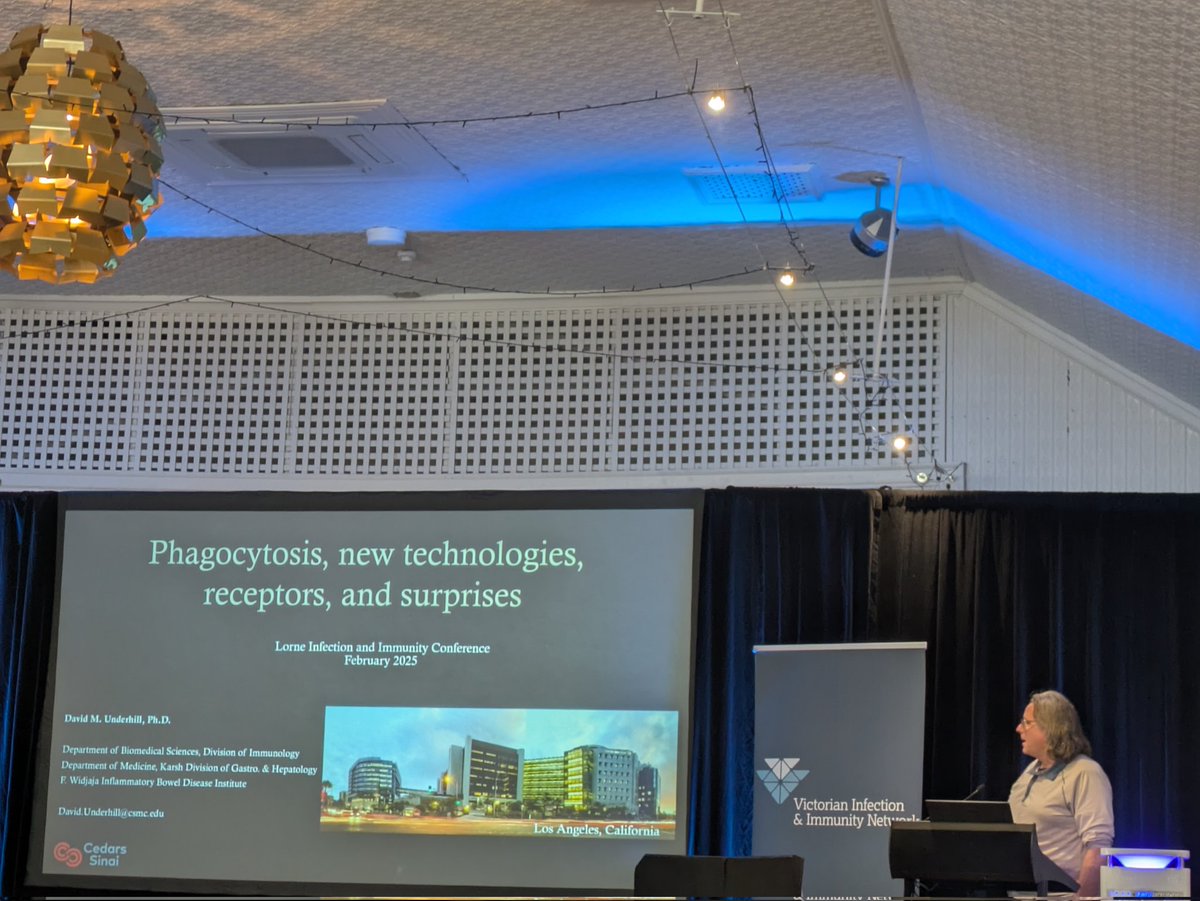 Delivering this year's Hertzog Oration is David Underhill coming to us from <a href="/CedarsSinai/">Cedars-Sinai</a> in LA, USA. David tells us about pathogen recognition all things phagocytosis #LorneIandI