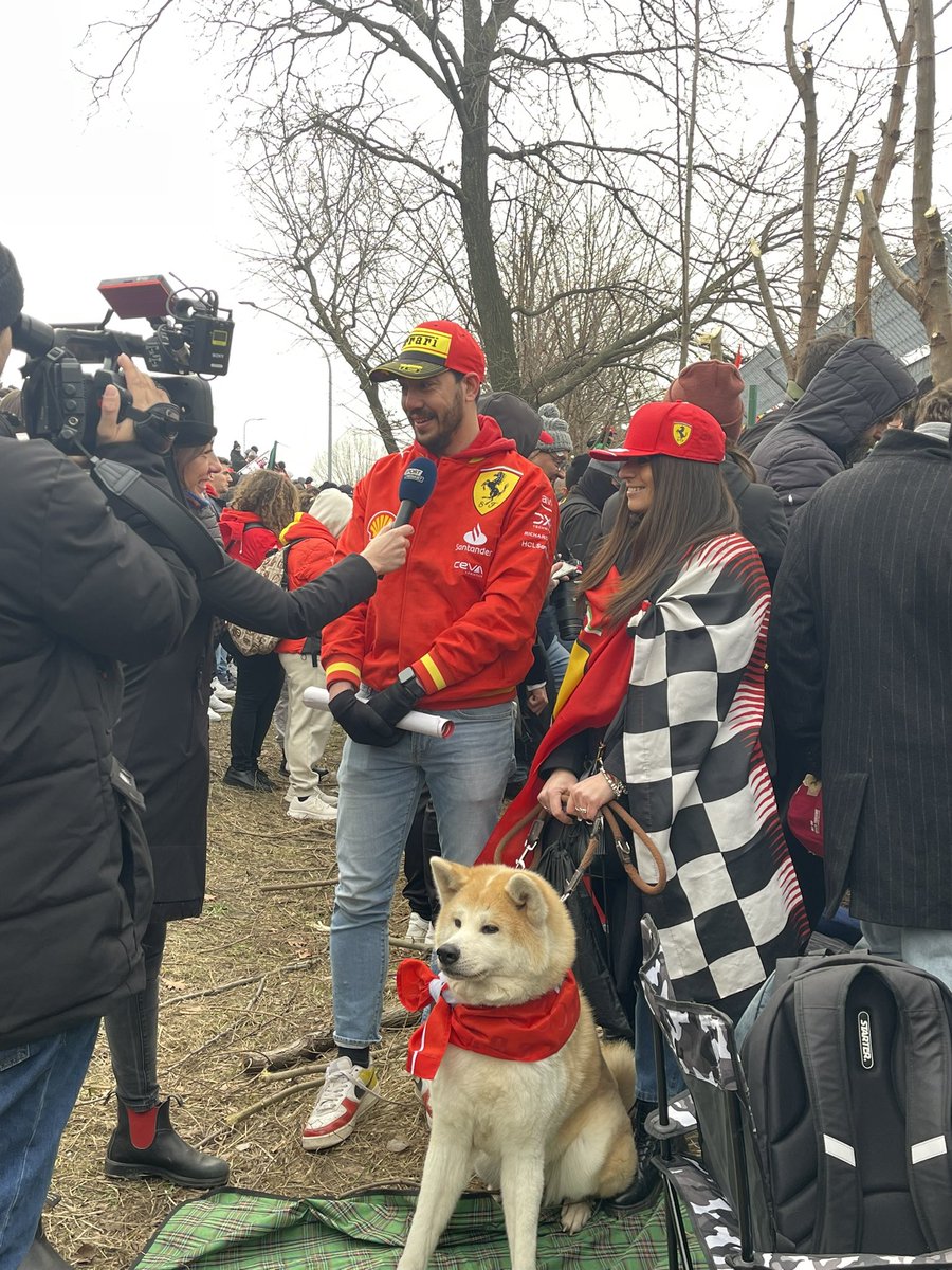 GUYS THE DOG 😭 IM CRYING