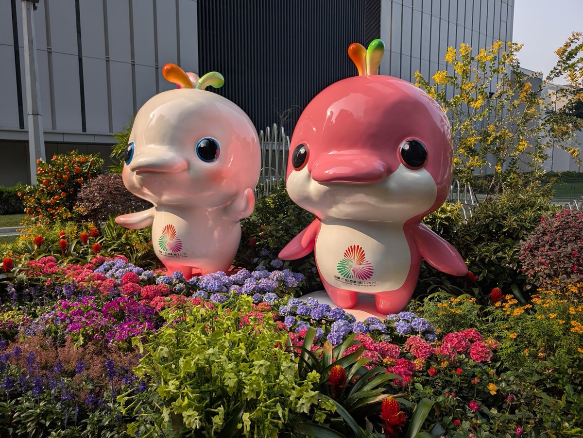 starpause's tweet image. #yabai especial fremz