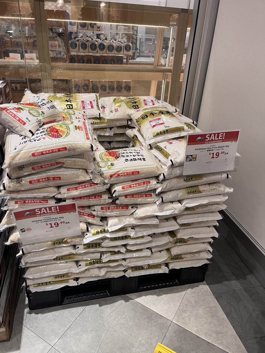 夏子は世帯主 (@Shihokomino) / Posts / X