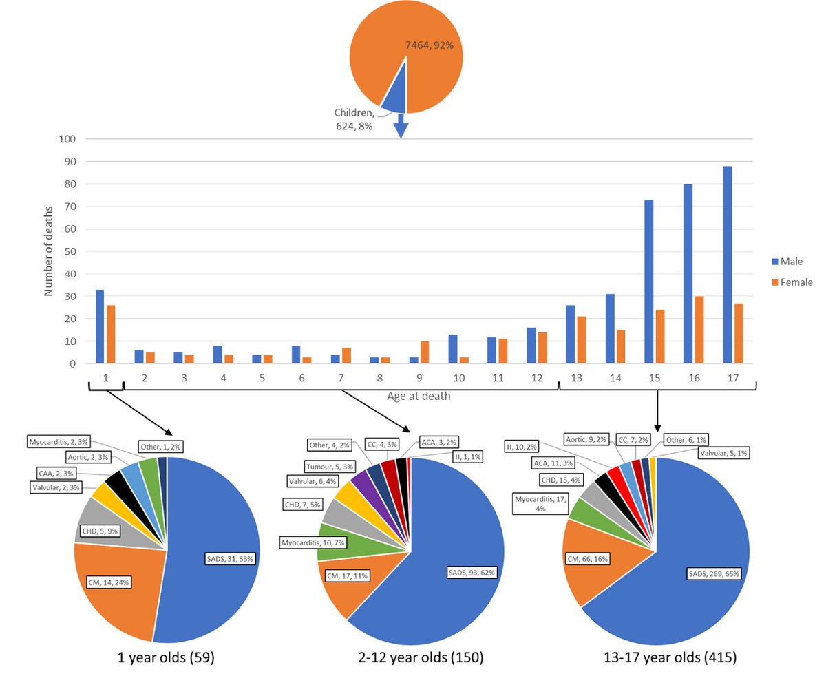 SCD in children peaks in teens
Rare with exertion/symptoms
63% SADS
15% cardiomyopathy
Cardiological screening should be prior to 13
doi.org/10.1161/CIRCEP…
#pathology #cardiology
<a href="/SCVP1/">SCVP</a>
<a href="/ACP_Pathologist/">The Association of Clinical Pathologists</a>
<a href="/BritishDivIAP/">BDIAP</a>
<a href="/Cardiomyopathy/">Cardiomyopathy UK</a>
<a href="/AECVPCam2021/">AECVP Cambridge 2021</a>
<a href="/RCPath/">RC of Pathologists</a>
<a href="/UKCardiacPath/">Cardiac Path Network</a>
@AiccUk