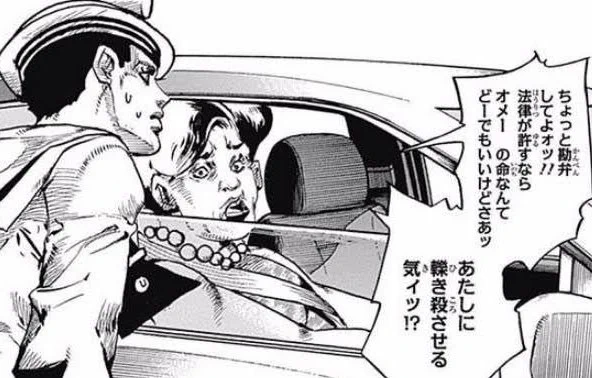 赤信号ガン無視の歩行者アニキをなんとか避けたらギャンギャン怒鳴られて今これ 