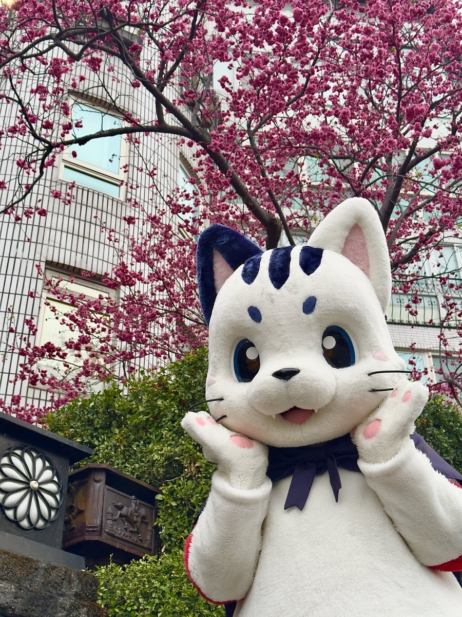 🌸

#新しいプロフィール画像