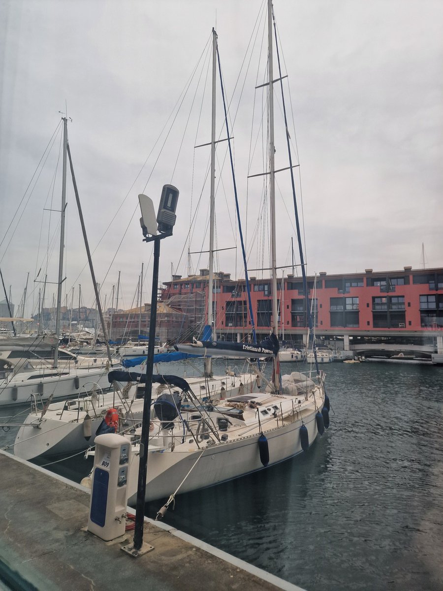 N. Cimbalo tweet media