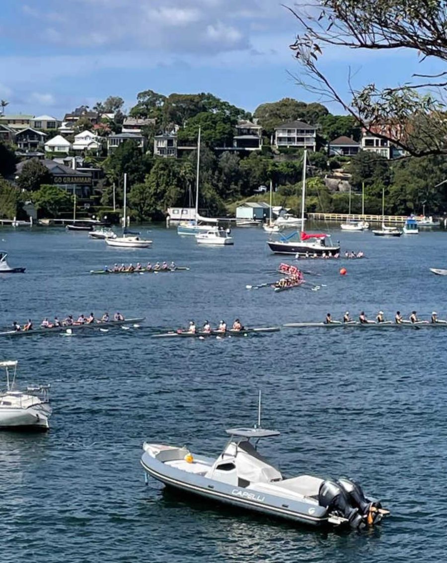 IntheCoveITC's tweet image. It's time for our weekly news blast Lane Cove Council GM Craig Wrightson Resigns after 20 years with Council| Lower North Shore Businesses Being Targeted by Thieves *|mailchi.mp/inthecove.com.…|*

#lanecovenews #lanecove #localnews #news