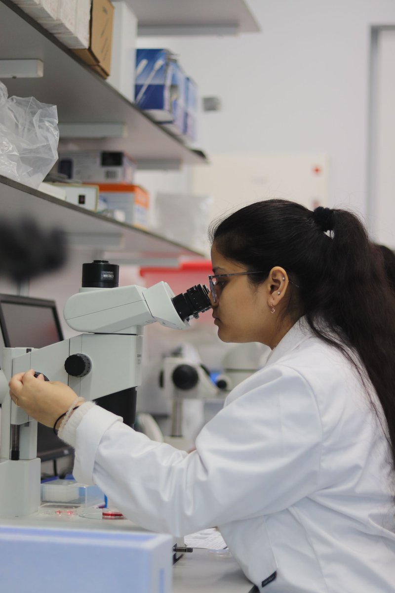 MScHuman Clinical Embryology & Assisted Conception tweet media