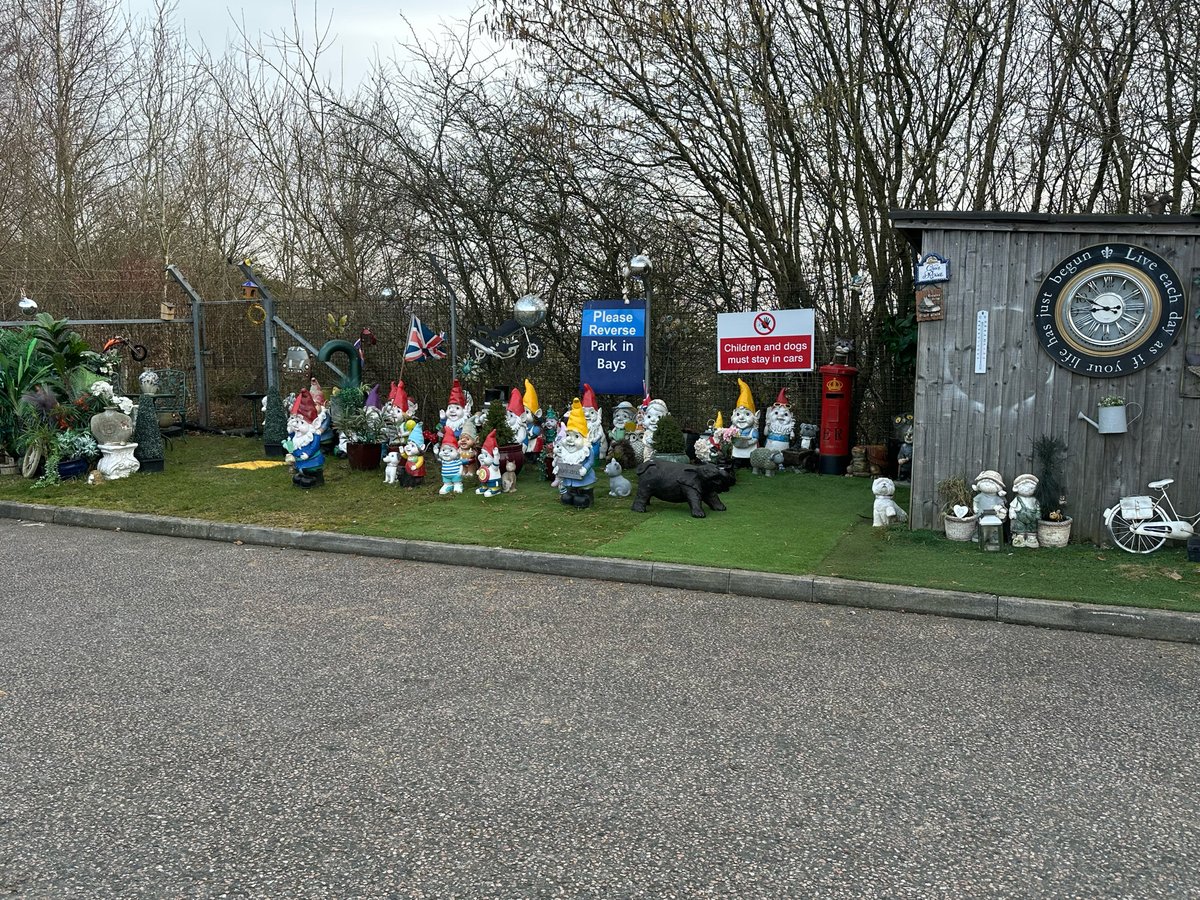 All these chums at our local tip always make me smile