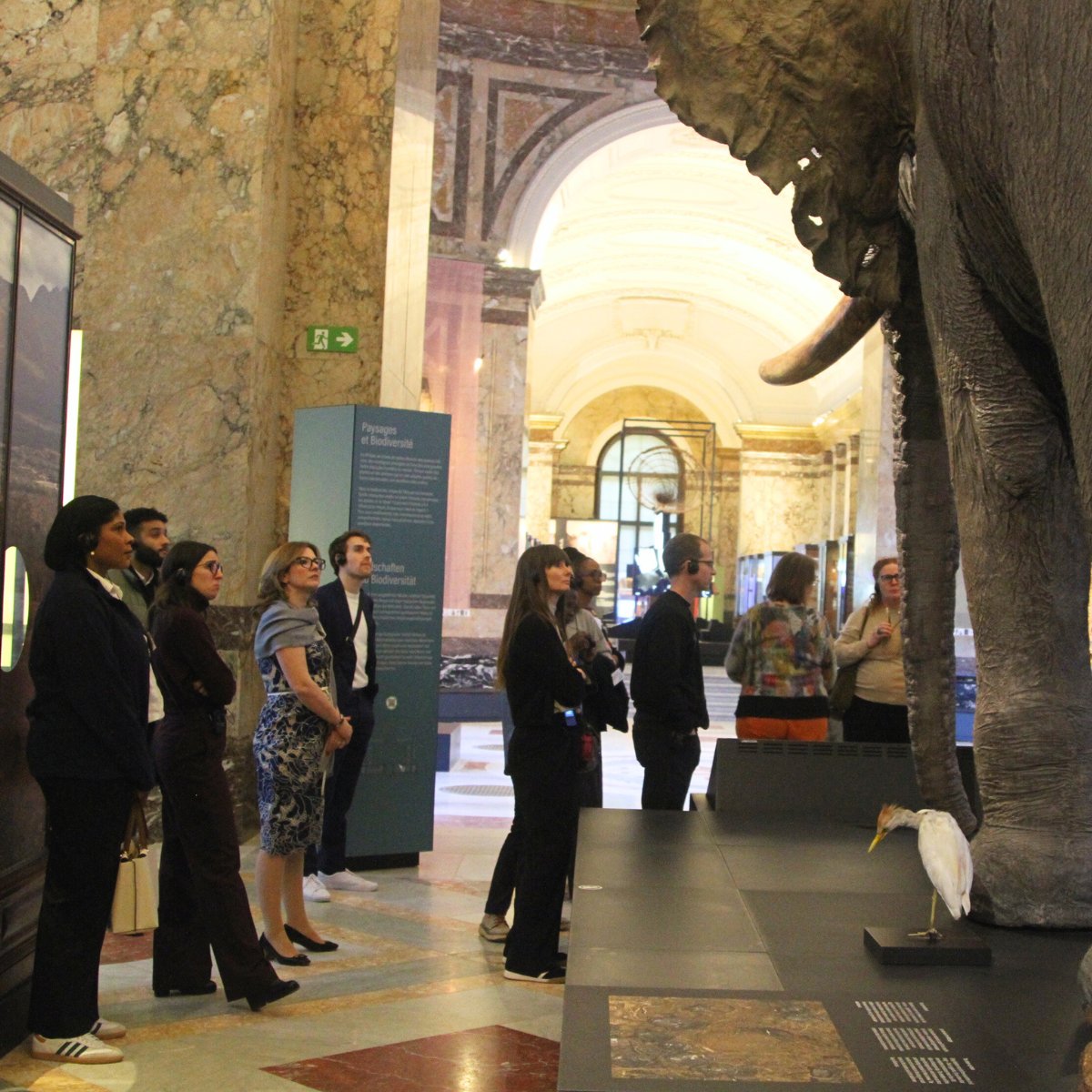 The British School tweet media