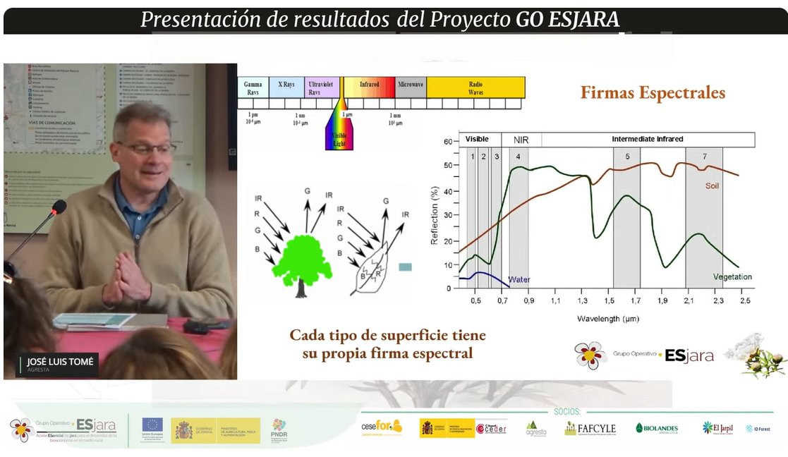 En estos momentos, nuestro compañero <a href="/quecoak/">Jose Luis Tome</a> en la jornada de presentación de resultados del <a href="/Goesjara/">ESjara</a> 

"Potencial de los jarales en España y modelos predictivos de cosecha"

🎥Síguelo en vivo: youtube.com/live/YjCSr6Tez…