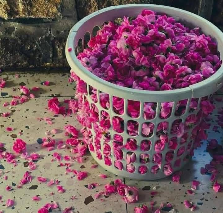 ”اگر تمہارا کپڑا کسی کِیل میں اَڑ جائے 
تو تم پیچھے کو چلتے ہو تاکہ کپڑے کو چھڑا سکو۔
اگر ہمارا  دل بھی گناہوں پر 
اصرار کے کِیل میں اَڑ گیا ہے، 
دو اُلٹے قدم ندامت کے چلو تو خلاصی ہو جائے!“

(المدهش لابن الجوزي : ٢٧٩/١)