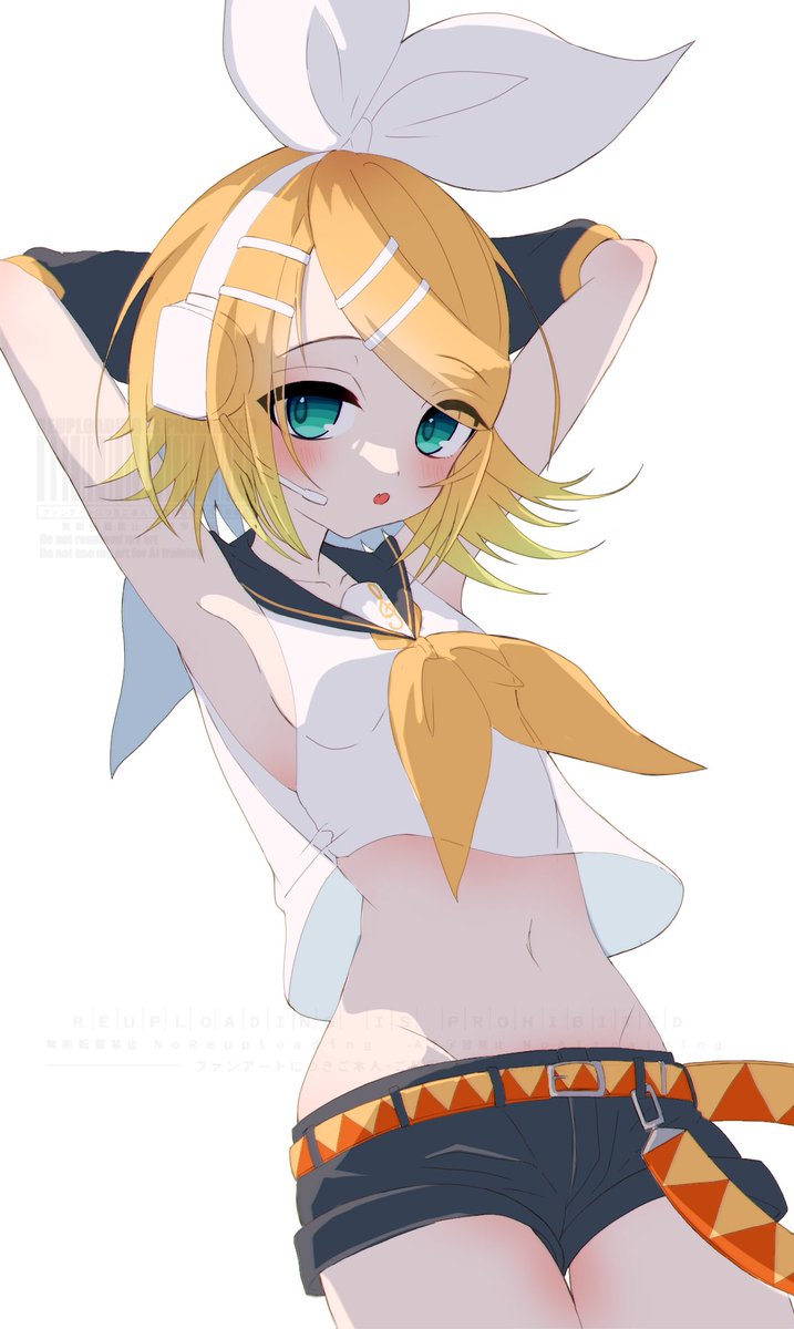 nnc225's tweet image. リンちゃん