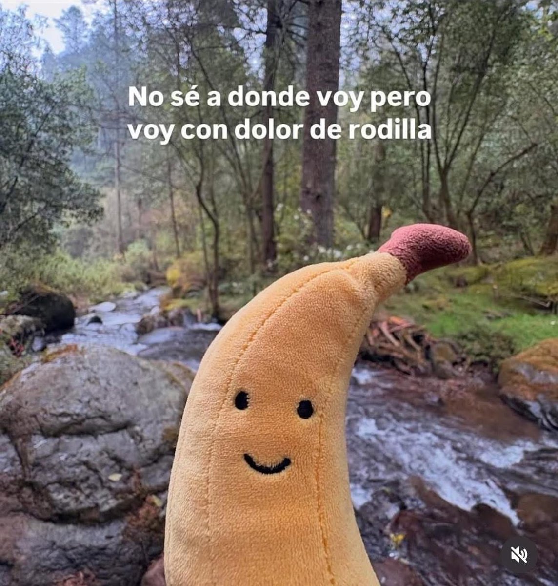 Pero voy.