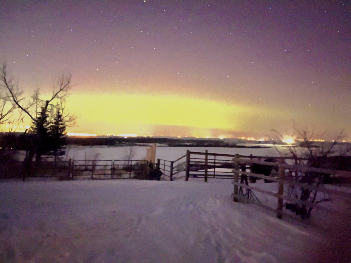 RASC Calgary Centre (@calgaryrasc) on Twitter photo #AuroraBorealis 9:42 pm as seen from northern <a href="/vulcancounty/">Vulcan County</a>, Alberta. -25 C, colder with windchill. iPhone 13 Pro running <a href="/NightCapApp/">NightCap Camera</a> #AuroraBorealis 9:42 pm as seen from northern <a href="/vulcancounty/">Vulcan County</a>, Alberta. -25 C, colder with windchill. iPhone 13 Pro running <a href="/NightCapApp/">NightCap Camera</a>