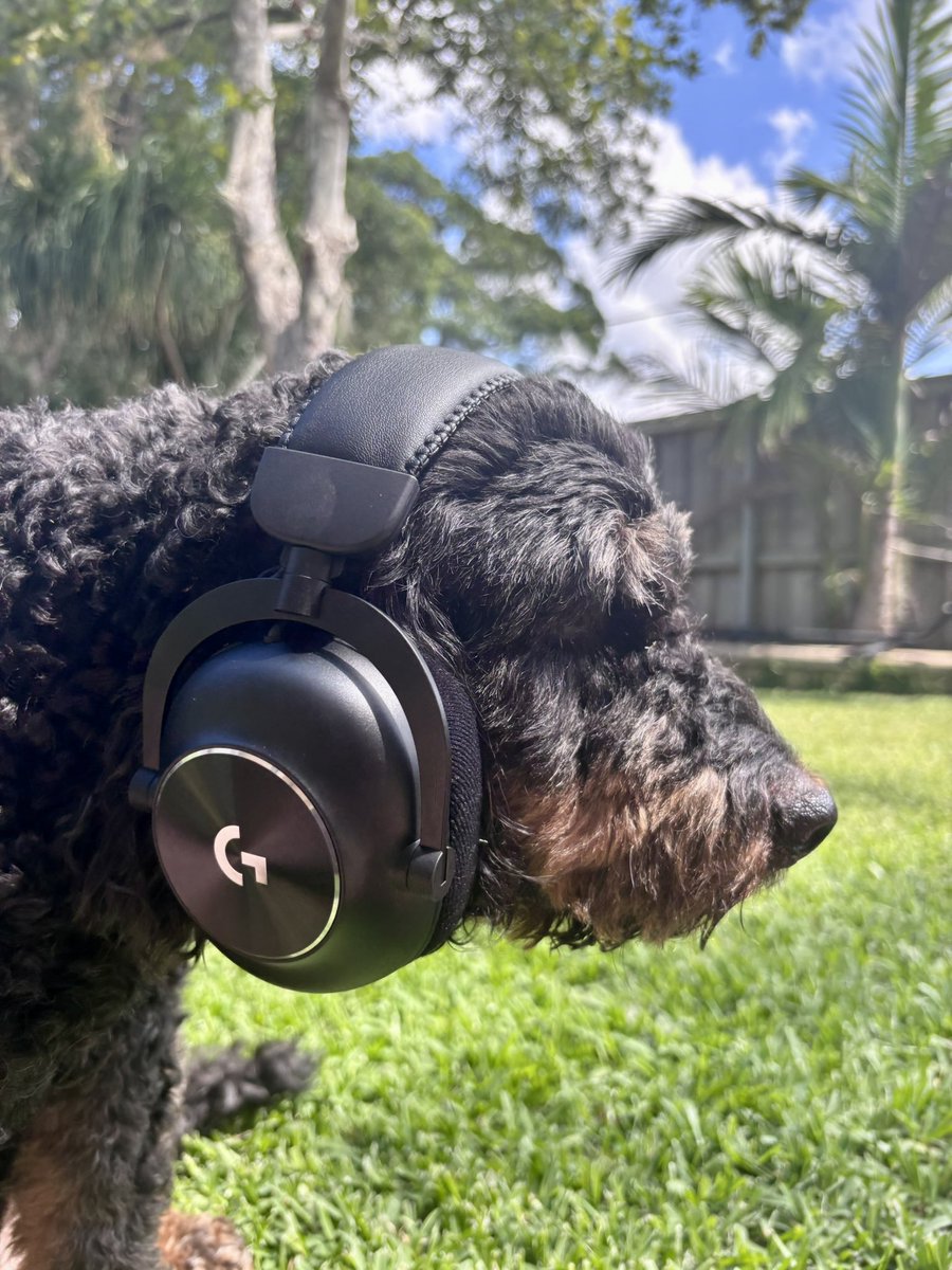 motivefnt's tweet photo. Thankyou so much to @LogitechG_ANZ for sending out the Pro X 2 Lightspeed Headset! 🫡

It’s incredibly comfy and Ralph loves it too! ❤️ https://t.co/qZZe5php9e